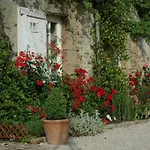Chateau De L'oiseliniere לינה וארוחת בוקר 4*
