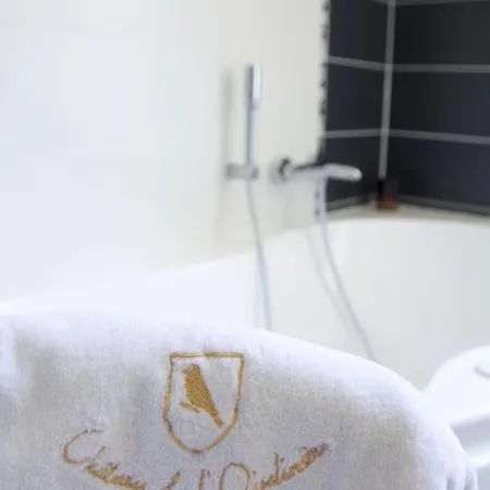 Bed & Breakfast Chateau De L'oiseliniere