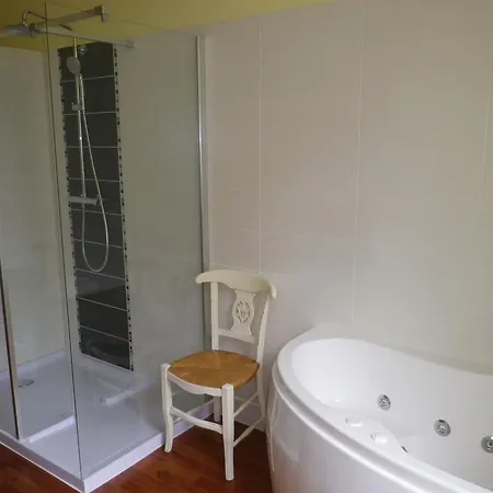 Chateau De L'oiseliniere 4* Gorges (Pays de la Loire)