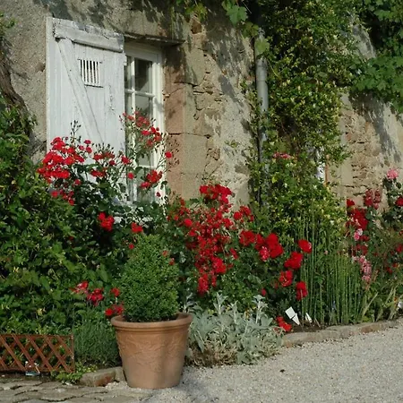 Chateau De L'oiseliniere Отель типа 