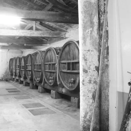 Bed and breakfast Chateau De L'oiseliniere