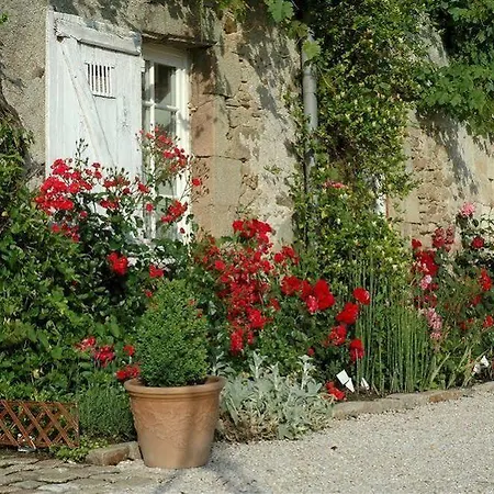 Bed & Breakfast Chateau De L'oiseliniere Gorges (Pays de la Loire)