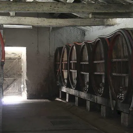 Bed & Breakfast Chateau De L'oiseliniere Gorges (Pays de la Loire)