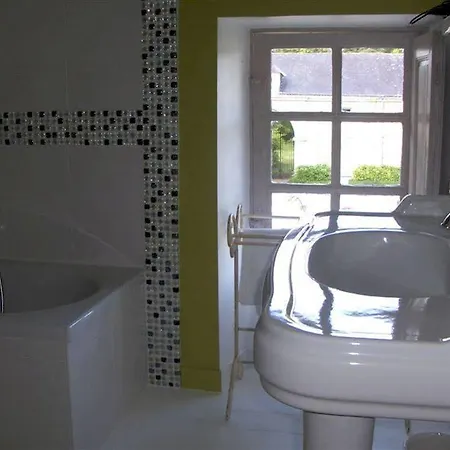 Bed and breakfast Chateau De L'oiseliniere 4*