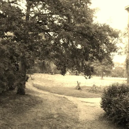 Chateau De L'oiseliniere