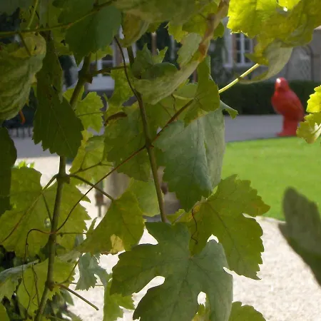 Chateau De L'oiseliniere Bed and breakfast