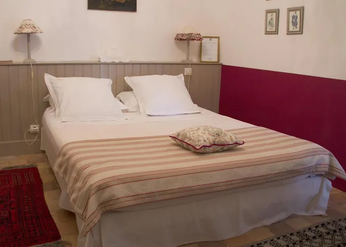 Château De L'oiselinière 4* Gorges (Pays de la Loire)