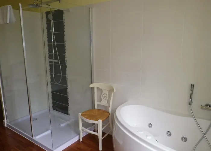 Château De L'oiselinière 4* Gorges (Pays de la Loire)