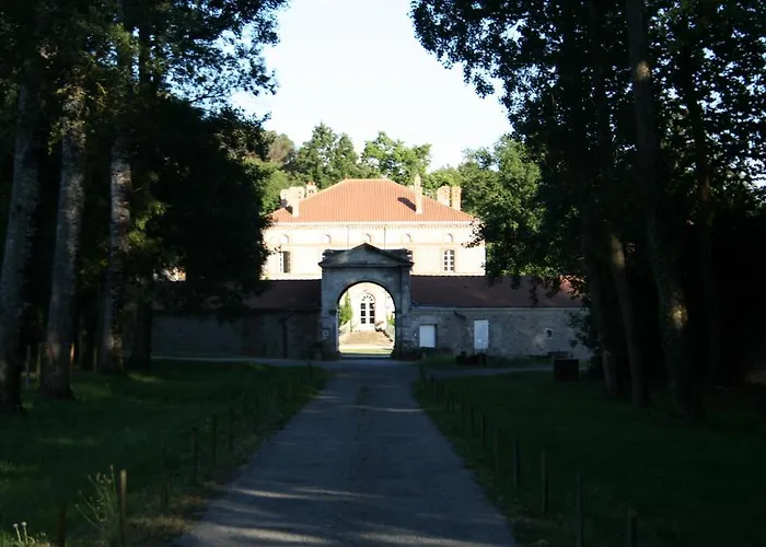 Château De L'oiselinière Couette-café
