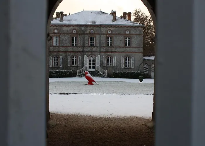 Château De L'oiselinière Couette-café