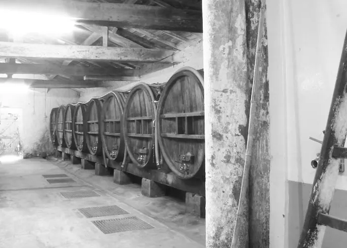 Couette-café Château De L'oiselinière