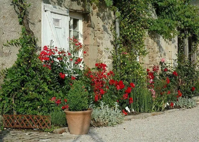 Couette-café Château De L'oiselinière Gorges (Pays de la Loire)