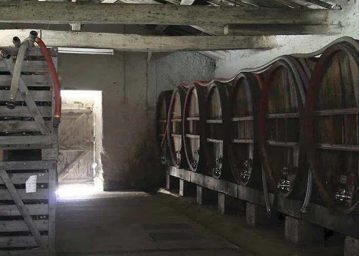 Couette-café Château De L'oiselinière Gorges (Pays de la Loire)