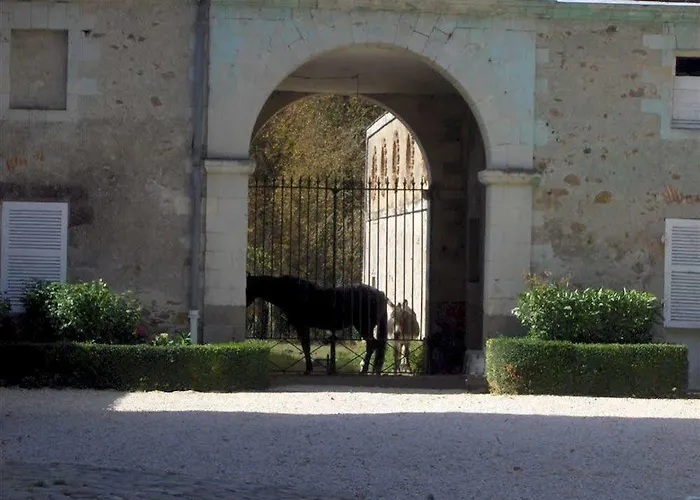 Couette-café Château De L'oiselinière 4*