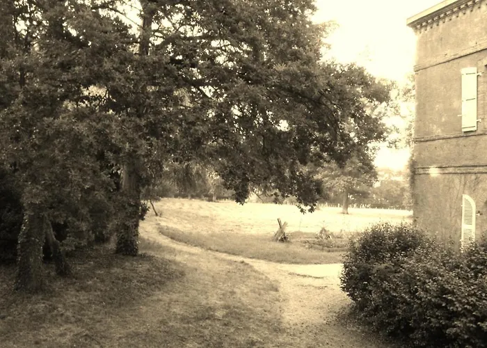 Château De L'oiselinière
