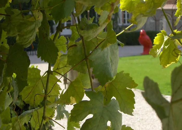 Château De L'oiselinière Couette-café